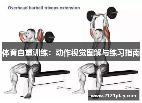 体育自重训练：动作视觉图解与练习指南